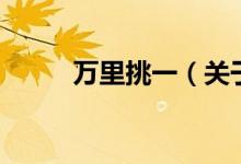 萬里挑一（關(guān)于萬里挑一的介紹）