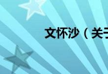 文懷沙（關于文懷沙的介紹）