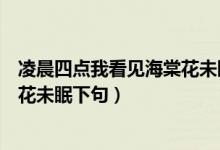 凌晨四點我看見海棠花未眠的下句（凌晨四點鐘我看見海棠花未眠下句）