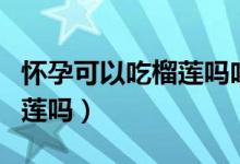 懷孕可以吃榴蓮嗎吃多少合適（懷孕可以吃榴蓮嗎）