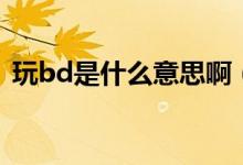 玩bd是什么意思?。ㄍ鎎d到底是什么意思）