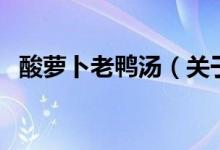 酸蘿卜老鴨湯（關(guān)于酸蘿卜老鴨湯的介紹）