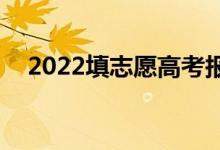 2022填志愿高考報名app咋樣（靠譜么）