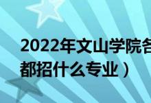 2022年文山學(xué)院各省招生計(jì)劃及招生人數(shù)（都招什么專業(yè)）