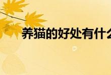 養(yǎng)貓的好處有什么（養(yǎng)貓的好處介紹）