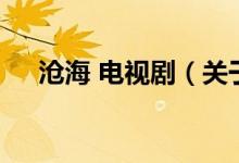 滄海 電視劇（關(guān)于滄海 電視劇的介紹）