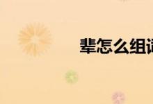 輩怎么組詞（輩的含義）