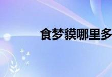 食夢(mèng)貘哪里多（具體資料介紹）