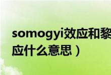 somogyi效應(yīng)和黎明現(xiàn)象區(qū)別（somogyi效應(yīng)什么意思）