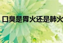 口臭是胃火還是肺火（口臭是胃火還是肝火）