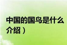 中國的國鳥是什么（關(guān)于中國的國鳥是什么的介紹）