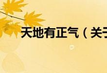 天地有正氣（關(guān)于天地有正氣的介紹）