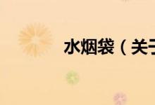 水煙袋（關(guān)于水煙袋的介紹）