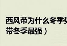 西風(fēng)帶為什么冬季勢(shì)力比夏季強(qiáng)（為什么西風(fēng)帶冬季最強(qiáng)）