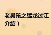 老男孩之猛龍過江（關于老男孩之猛龍過江的介紹）