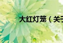 大紅燈籠（關(guān)于大紅燈籠的介紹）