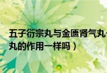 五子衍宗丸與金匱腎氣丸一起吃嗎（五子衍宗丸與金匱腎氣丸的作用一樣嗎）