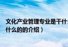 文化產業(yè)管理專業(yè)是干什么的（關于文化產業(yè)管理專業(yè)是干什么的的介紹）