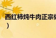 西紅柿燉牛肉正宗做法（怎么做西紅柿燉牛肉）