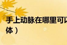 手上動(dòng)脈在哪里可以看到（手上動(dòng)脈在哪要具體）