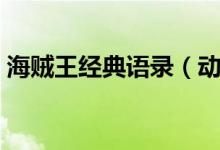 海賊王經(jīng)典語錄（動(dòng)畫片海賊王的經(jīng)典句子）