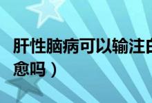 肝性腦病可以輸注白蛋白嗎（肝性腦病可以治愈嗎）