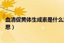 血清促黃體生成素是什么意思（血清促黃體生成素是什么意思）