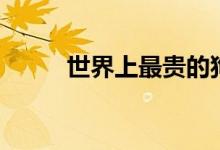 世界上最貴的狗（分別是多少錢(qián)）
