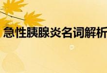急性胰腺炎名詞解析（急性胰腺炎名詞解釋）
