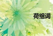 荷組詞（荷的意思）