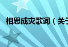 相思成災(zāi)歌詞（關(guān)于相思成災(zāi)歌詞的介紹）