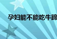孕婦能不能吃牛蹄（孕婦能不能吃牛蛙）