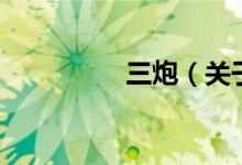 三炮（關(guān)于三炮的介紹）