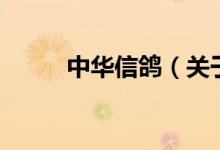 中華信鴿（關(guān)于中華信鴿的介紹）