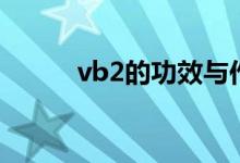 vb2的功效與作用（vb2是什么）