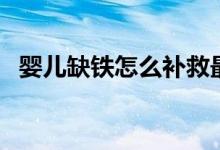 嬰兒缺鐵怎么補(bǔ)救最好（嬰兒缺鐵怎么補(bǔ)）