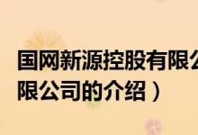 國網新源控股有限公司（關于國網新源控股有限公司的介紹）