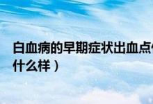 白血病的早期癥狀出血點(diǎn)什么樣（白血病的早期癥狀出血點(diǎn)什么樣）