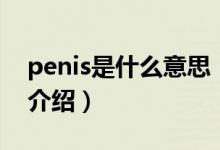 penis是什么意思（關(guān)于penis是什么意思的介紹）