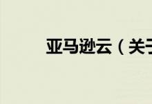 亞馬遜云（關于亞馬遜云的介紹）