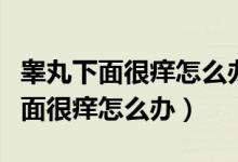 睪丸下面很癢怎么辦找大唐六一十四（睪丸下面很癢怎么辦）