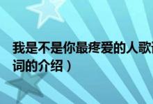 我是不是你最疼愛的人歌詞（關(guān)于我是不是你最疼愛的人歌詞的介紹）