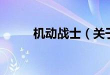 機(jī)動(dòng)戰(zhàn)士（關(guān)于機(jī)動(dòng)戰(zhàn)士的介紹）
