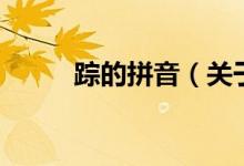 蹤的拼音（關(guān)于蹤的拼音的介紹）