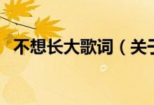 不想長大歌詞（關(guān)于不想長大歌詞的介紹）