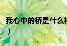 我心中的橋是什么樣子的（我心中的橋的范文）