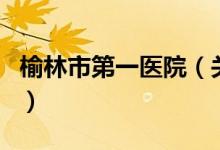 榆林市第一醫(yī)院（關于榆林市第一醫(yī)院的介紹）