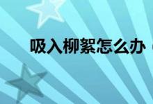 吸入柳絮怎么辦（吸入柳絮會(huì)怎么樣）