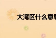 大灣區(qū)什么意思（什么是大灣區(qū)）