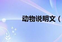 動物說明文（動物說明文范文）